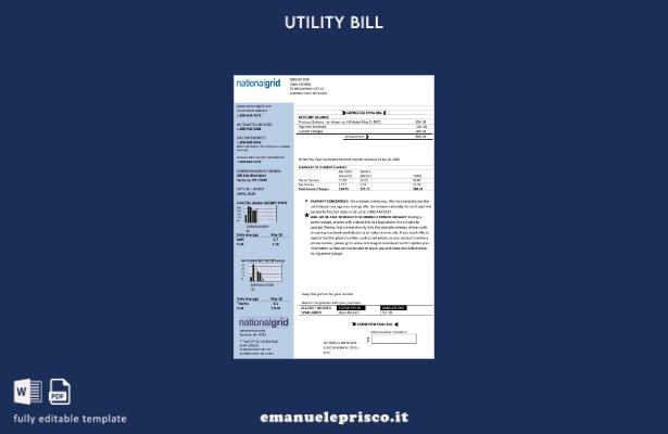 stile verificato Modello di bolletta delle utenze USA New York National Grid